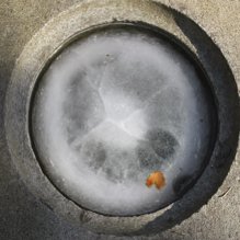 Frozen circle